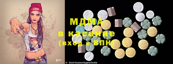прущие грибы Елабуга