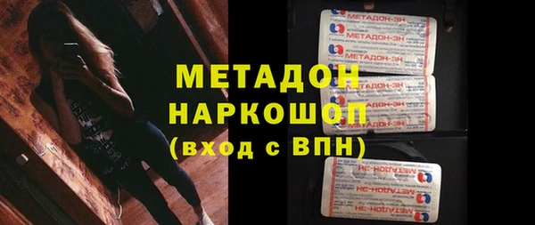 прущие грибы Елабуга