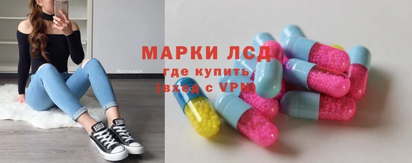 прущие грибы Елабуга