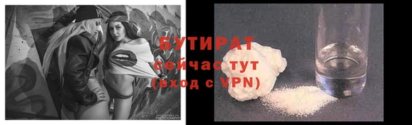 прущие грибы Елабуга