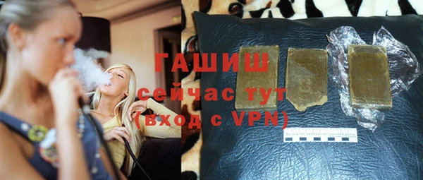прущие грибы Елабуга