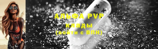 прущие грибы Елабуга