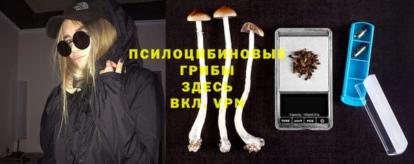 круглые Осташков