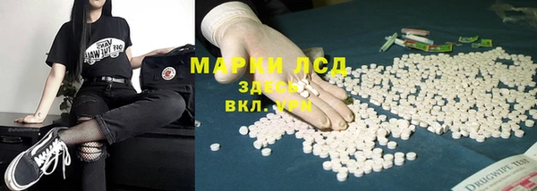 прущие грибы Елабуга