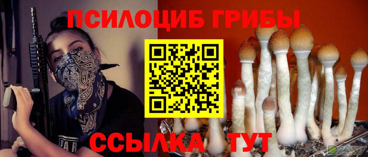 Галлюциногенные грибы мицелий Реж